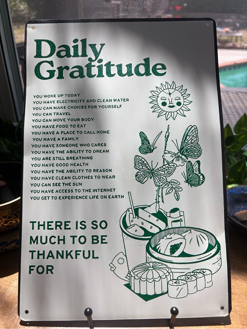 Daily Gratitude Metal Tin Wall Sign Green White Positive Quote Decor